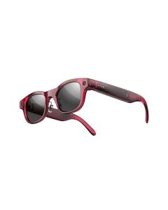 HTC VIVE Eagle AI Glasses (Sunglasses) - Berry M