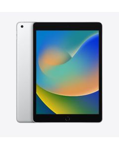 10.2-inch iPad Wi-Fi 256GB (9th generation) - Silver (MK2P3ZP/A)